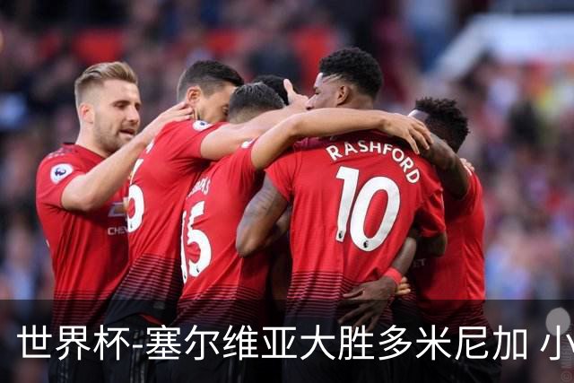 世界杯-塞尔维亚大胜多米尼加 小组第二进八强
