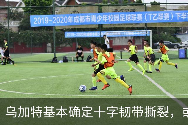 乌加特基本确定十字韧带撕裂，或迫使曼联买人！若伤缺一年可获赔500万