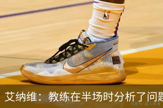 艾纳维：教练在半场时分析了问题 会仔细观察法国和巴拉圭的表现